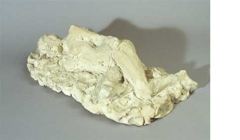 clay image